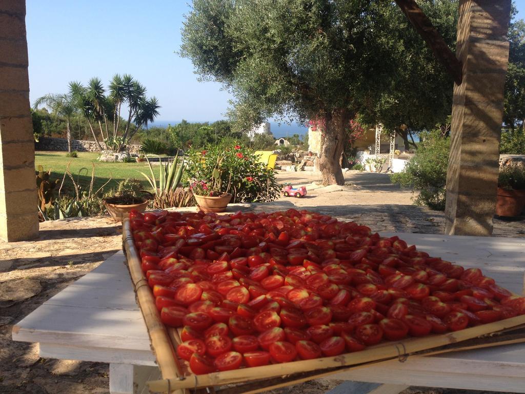 Contrada Borgin Bed & Breakfast Marina Di Pescoluse Bagian luar foto