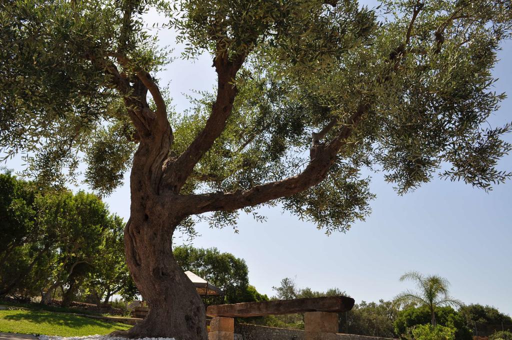 Contrada Borgin Bed & Breakfast Marina Di Pescoluse Bagian luar foto